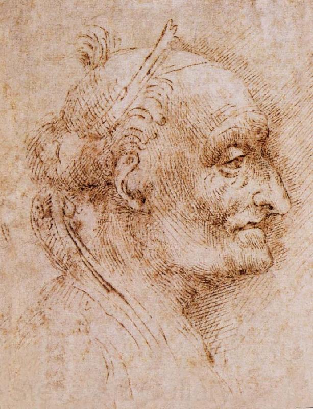 LEONARDO da Vinci Aurelio Luini attributed, profile of an old man France oil painting art